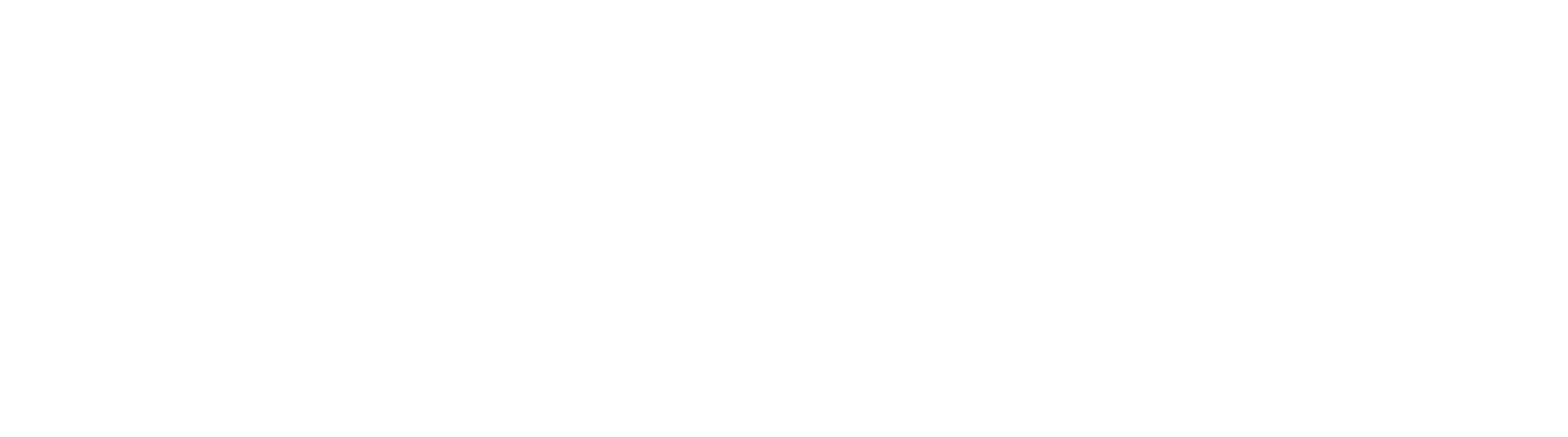 logo-light